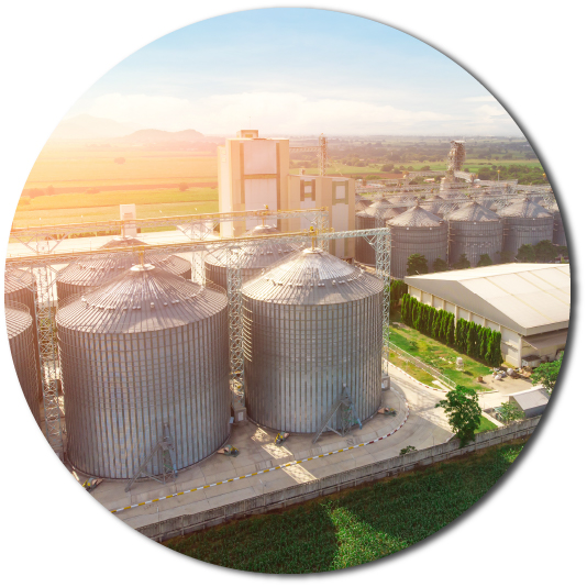 New%20Hope%20|%20Alagöz