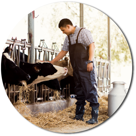 New%20Hope%20|%20Alagöz