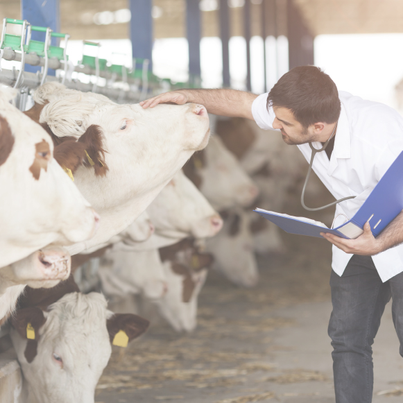 New%20Hope%20|%20Alagöz